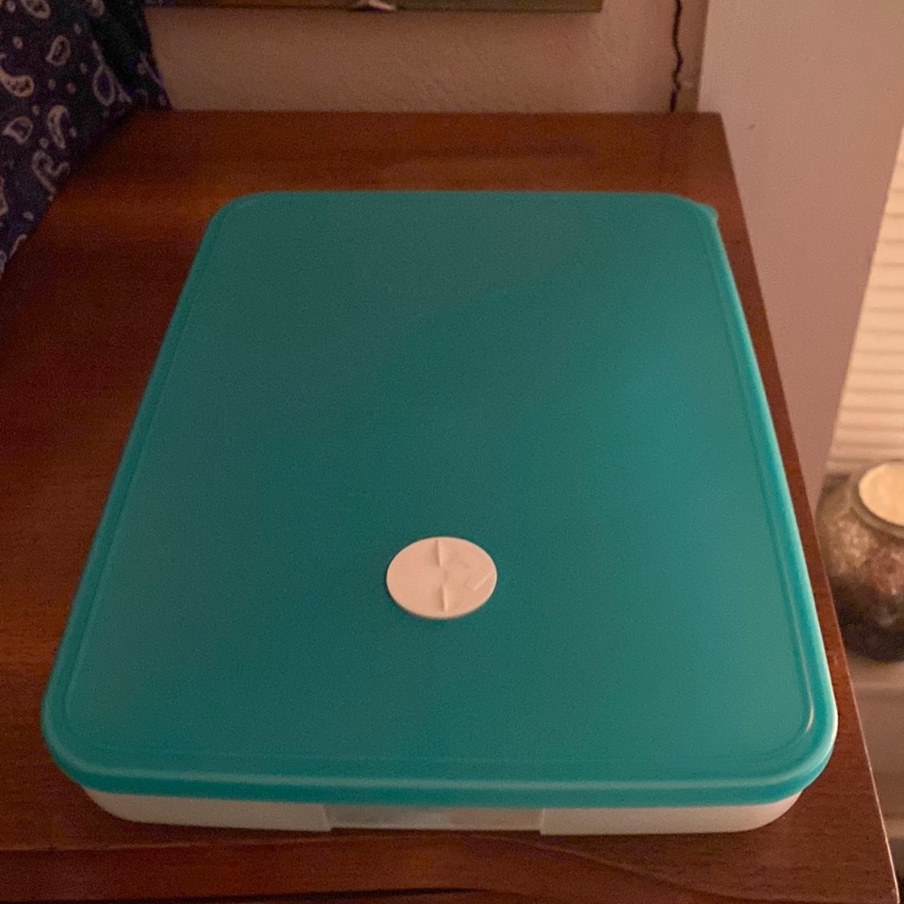 Tupperware freezable 12L 4 3/4 cup capacity with date reminder lid